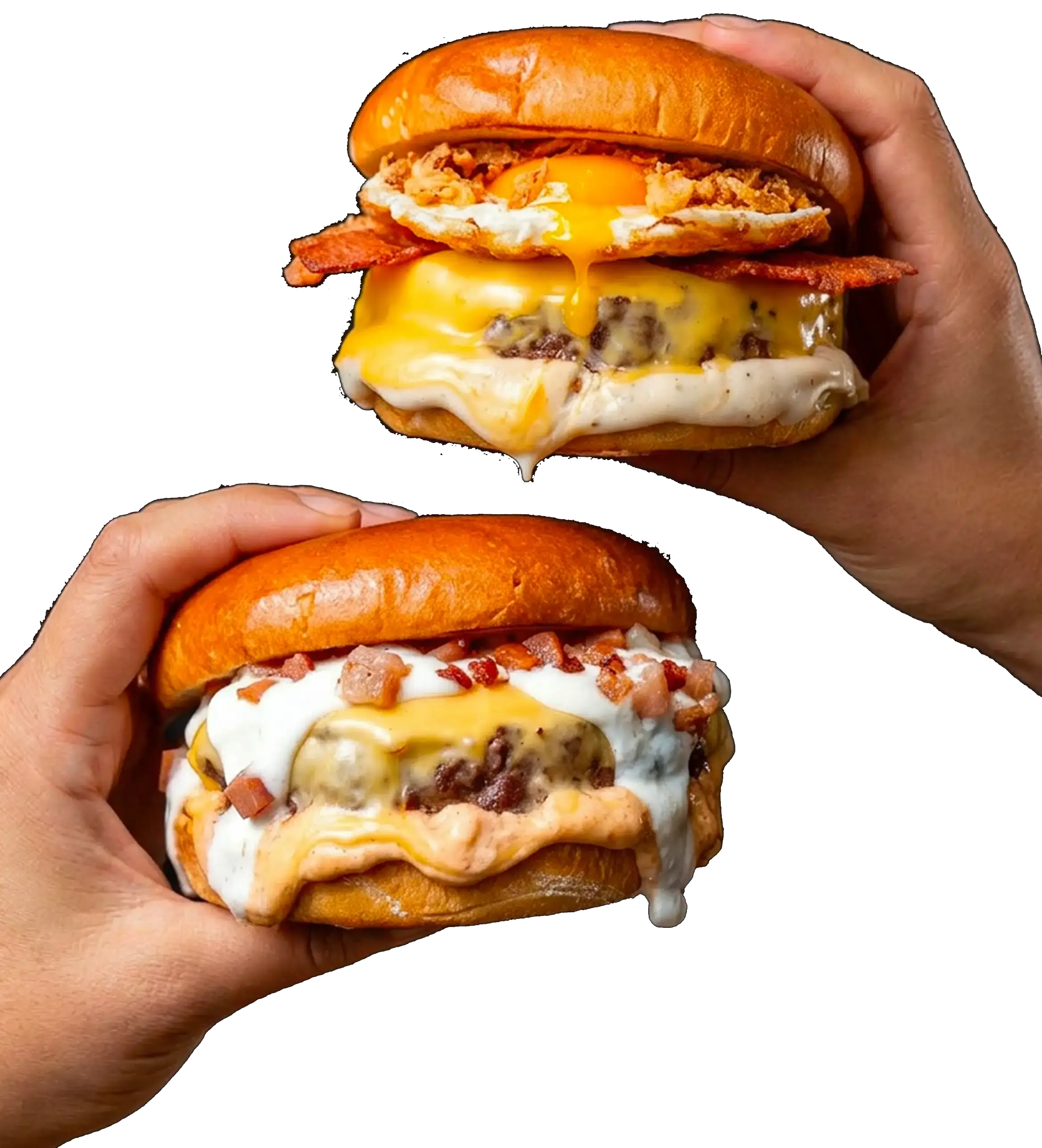 Tepuy Burger delivery burgers in Alicante